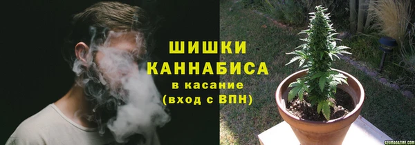 стафф Новокубанск