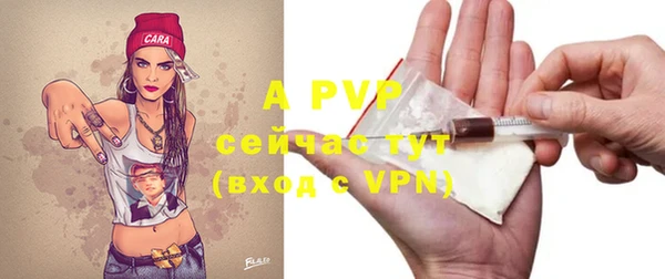 таблы Новозыбков