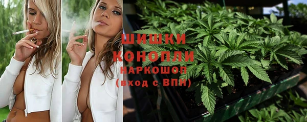 стафф Новокубанск