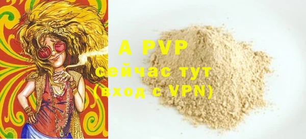 стафф Новокубанск