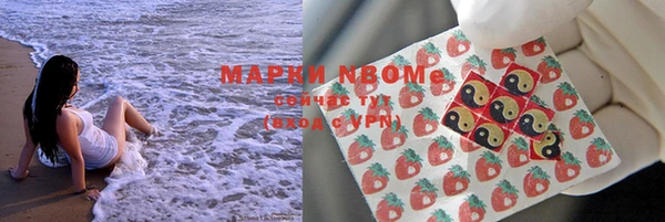 стафф Новокубанск