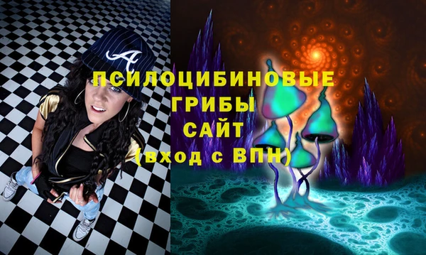 2c-b Новодвинск