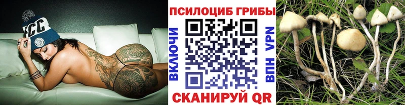blacksprut зеркало  Нахабино  Псилоцибиновые грибы мицелий 